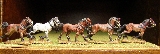 AB Horses 2