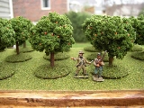 Trees with 15mm figures