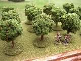 Trees individually based