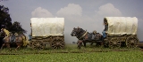 Supply Wagons